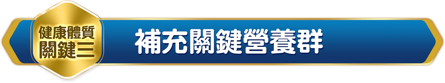健康體質關鍵三 補充關鍵營養群