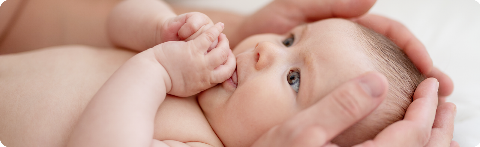 寶寶啟蒙教育與親子互動